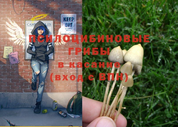 марки nbome Лагань