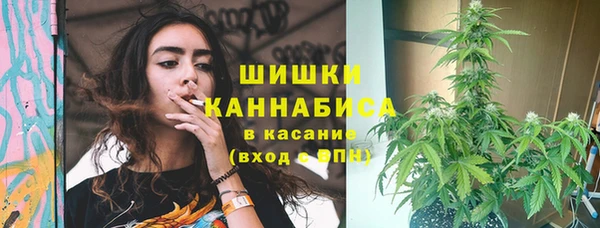 стаф Кулебаки